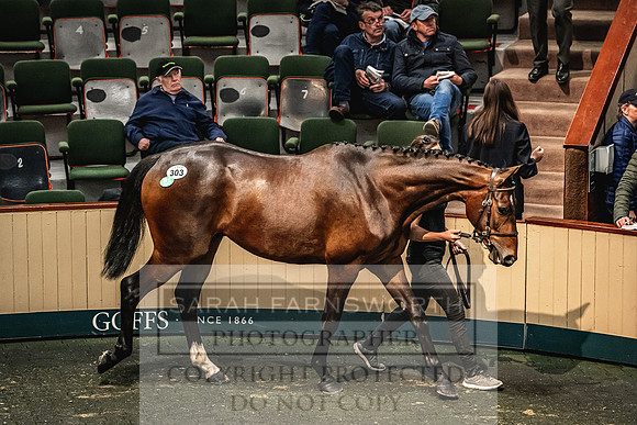 Goffs Land Rover Sale 2022-638