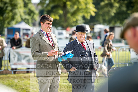 Lowther Hound Show 2017-114
