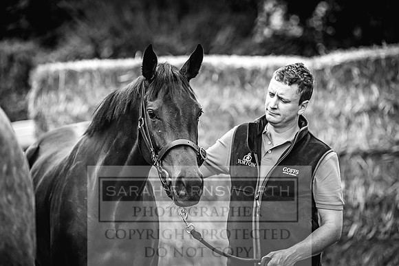 Goffs Yorton Sale 2022-44