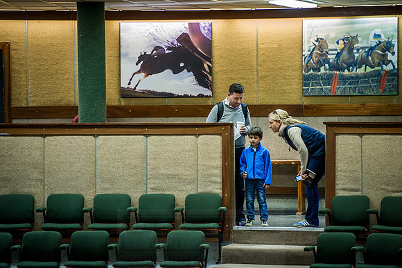 Goffs Orby 2015 -231