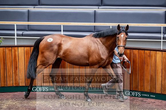 Goffs UK Spring Sale 2024-156