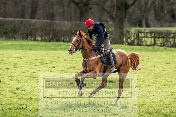 Wynnstay Hunt Ride 2019-81
