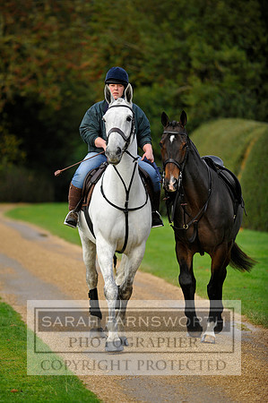 Brocklesby 021113 CF3 053