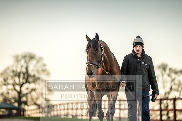Tweenhills January 2019-60