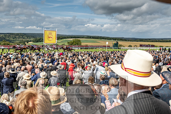 GUK Goodwood Sale 2019-159