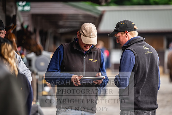 Goffs UK Spring Sale 2024-71