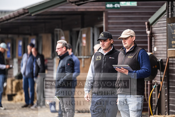 Goffs UK Spring Sale 2024-74