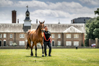 Goffs London Sale 2019-17