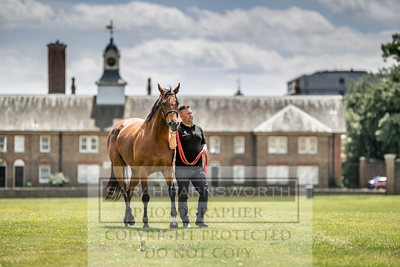 Goffs London Sale 2019-17