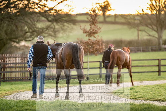 Tweenhills January 2019-65