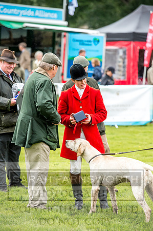 Lowther Hound Show 2017-41