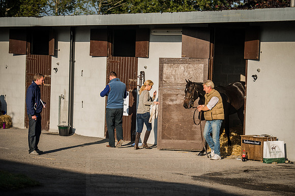 Goffs Orby 2015 -489