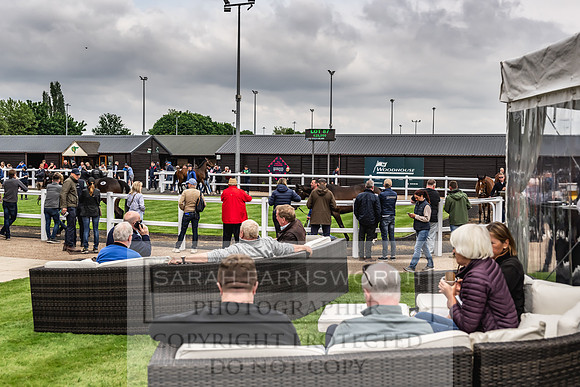 Goffs UK Spring Sale 2024-136