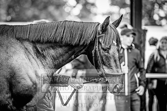 Goffs Land Rover Sale 2022-418