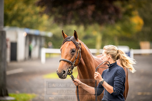 Goffs Orby 2018 Day 1-5