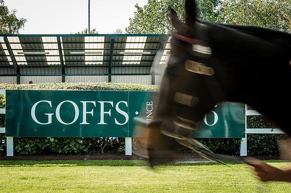 Goffs Orby 2015 -335