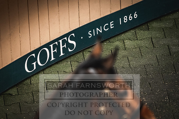 Goffs Land Rover Sale 2022-636