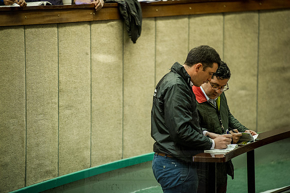 Goffs Orby 2015 -558