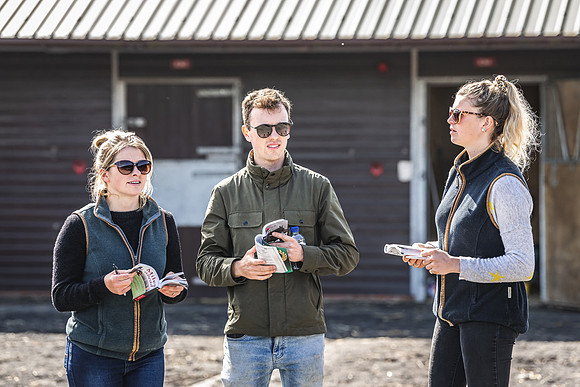 Goffs UK Spring Sale 22 Day 2-22