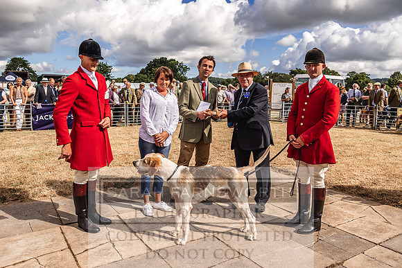 Honiton Hound Show 2022-27