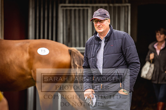 Goffs Yorton Sale 2022-91