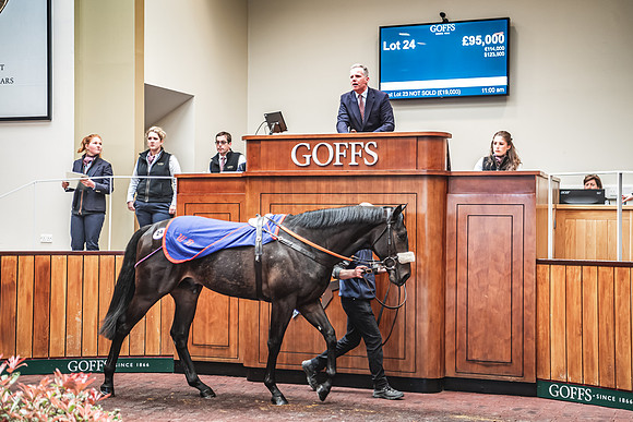 Goffs UK Breeze Up 2022-241