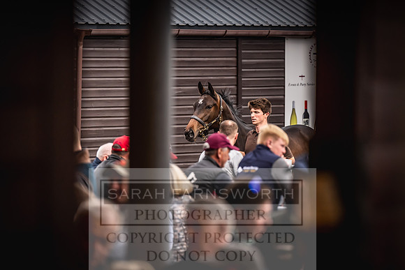 Goffs UK Spring Sale 2024-132