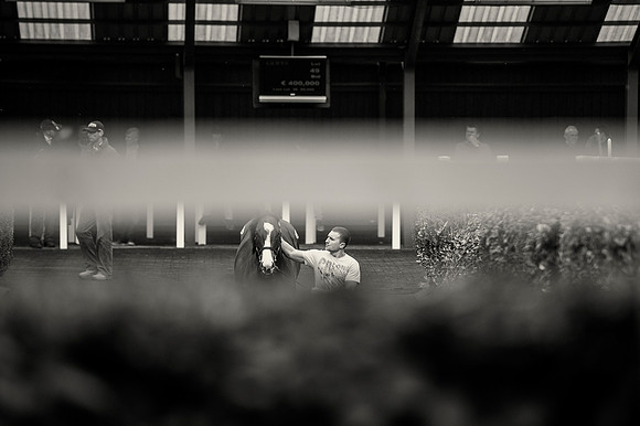 Goffs Orby14 CF5 213 bw