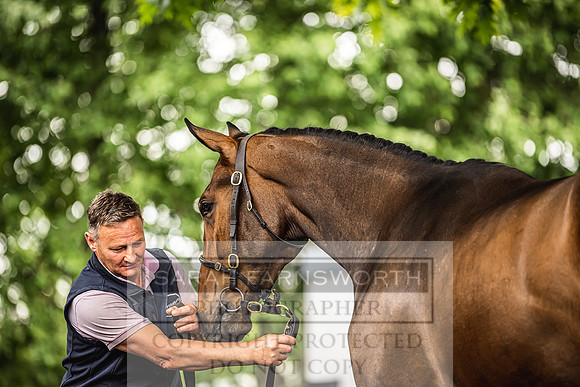 Goffs Land Rover Sale 2022-343