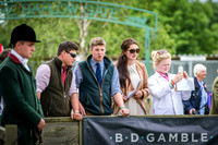 Ardingly Beagles 2016-1