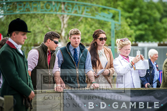 Ardingly Beagles 2016-1