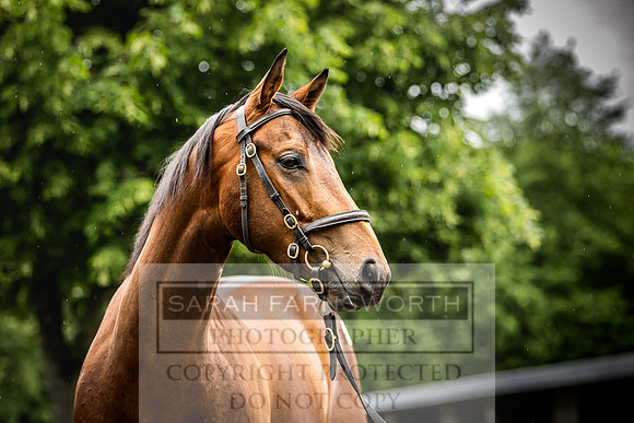 Goffs Land Rover Sale 2022-475