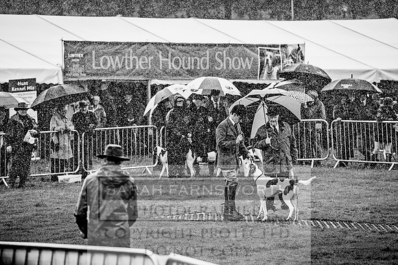 Lowther Hound Show 2017-13