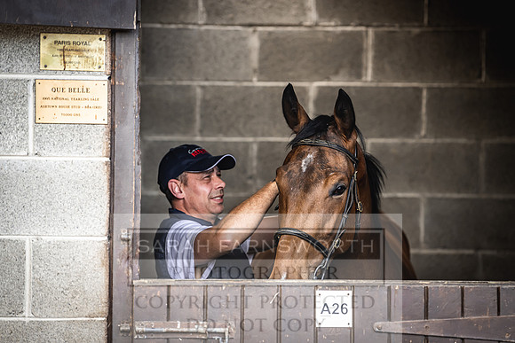 Goffs Land Rover Sale 2022-19