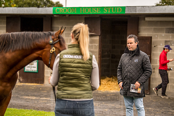 Goffs Orby 2018 Day 1-36