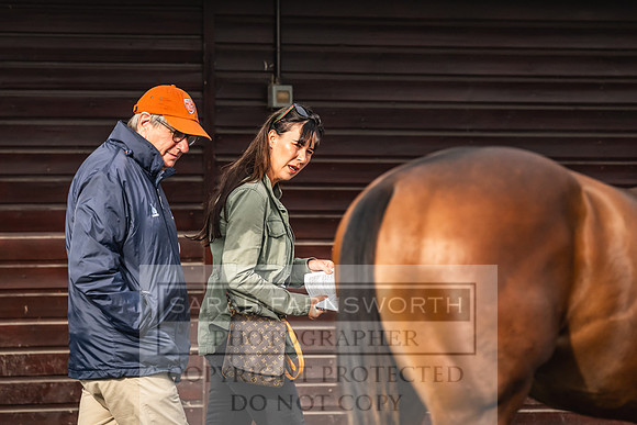 Goffs UK PY24-27