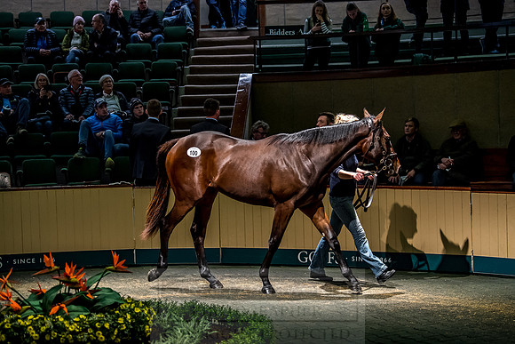 Goffs Orby 2018 Day 1-298