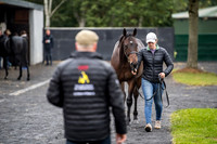 Goffs Orby 2018 Day 1-15