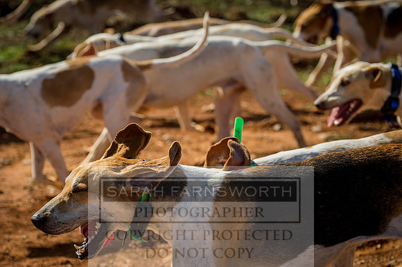 Mooreland Hunt-55