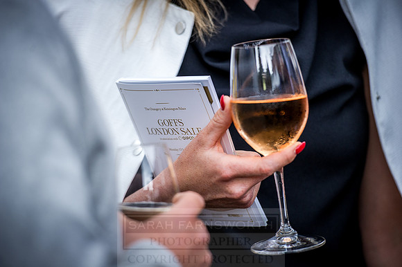 Goffs London Sale 2016-208