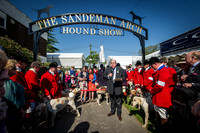 Ardingly Foxhounds 2015-3