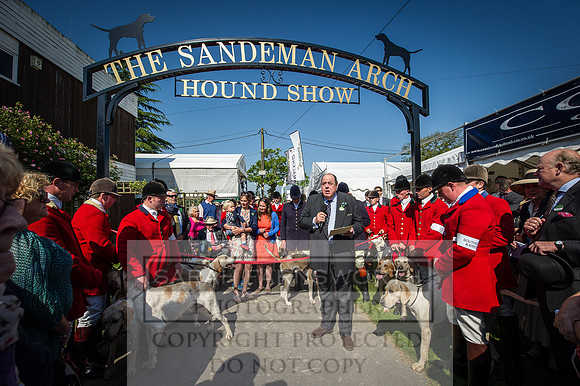 Ardingly Foxhounds 2015-3