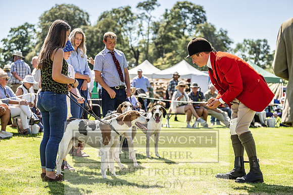 Rydal Hound Show 2022-58