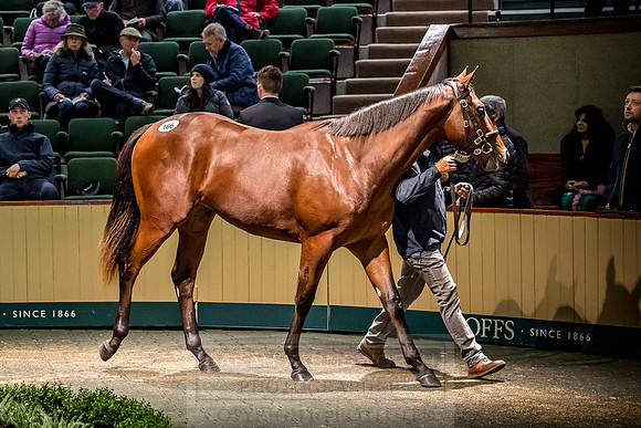 Goffs Orby 2018 Day 1-413