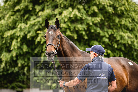 Goffs Land Rover Sale 2022-232