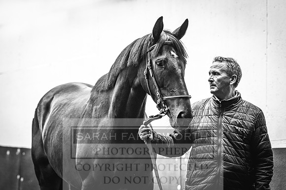 Goffs Land Rover Sale 2022-447