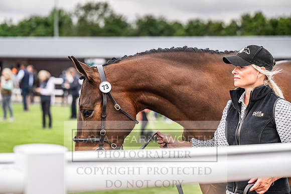 Goffs UK Spring Sale 2024-127