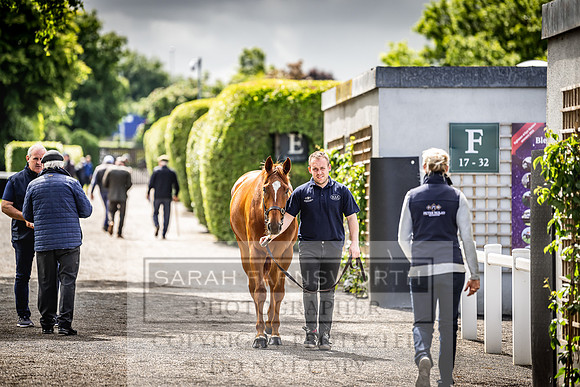 Goffs Land Rover Sale 2022-594