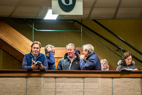 Goffs Orby 2018 Day 2-122