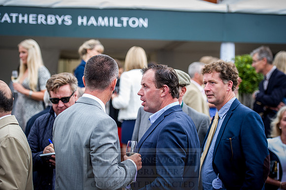 Goffs London Sale 2016-204